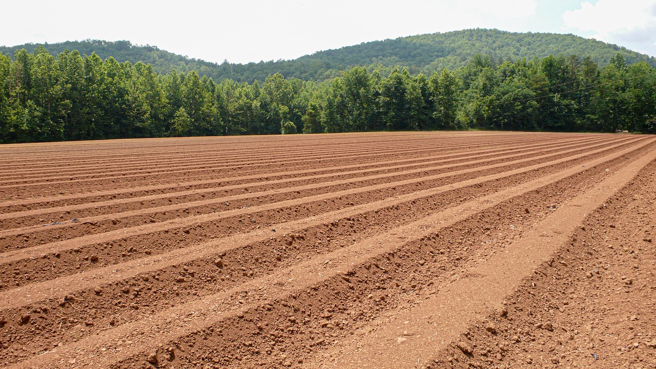 analisi terreni agricoli